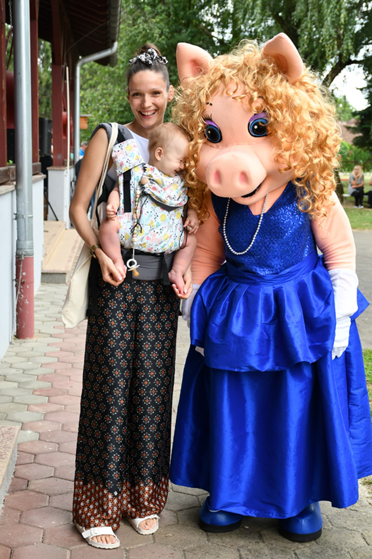 Dsc 3539