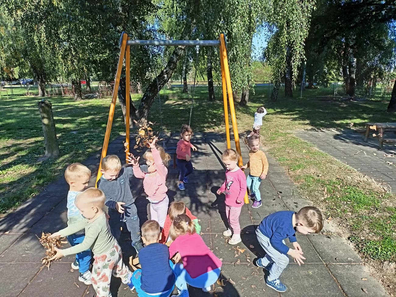 Img20240923102306