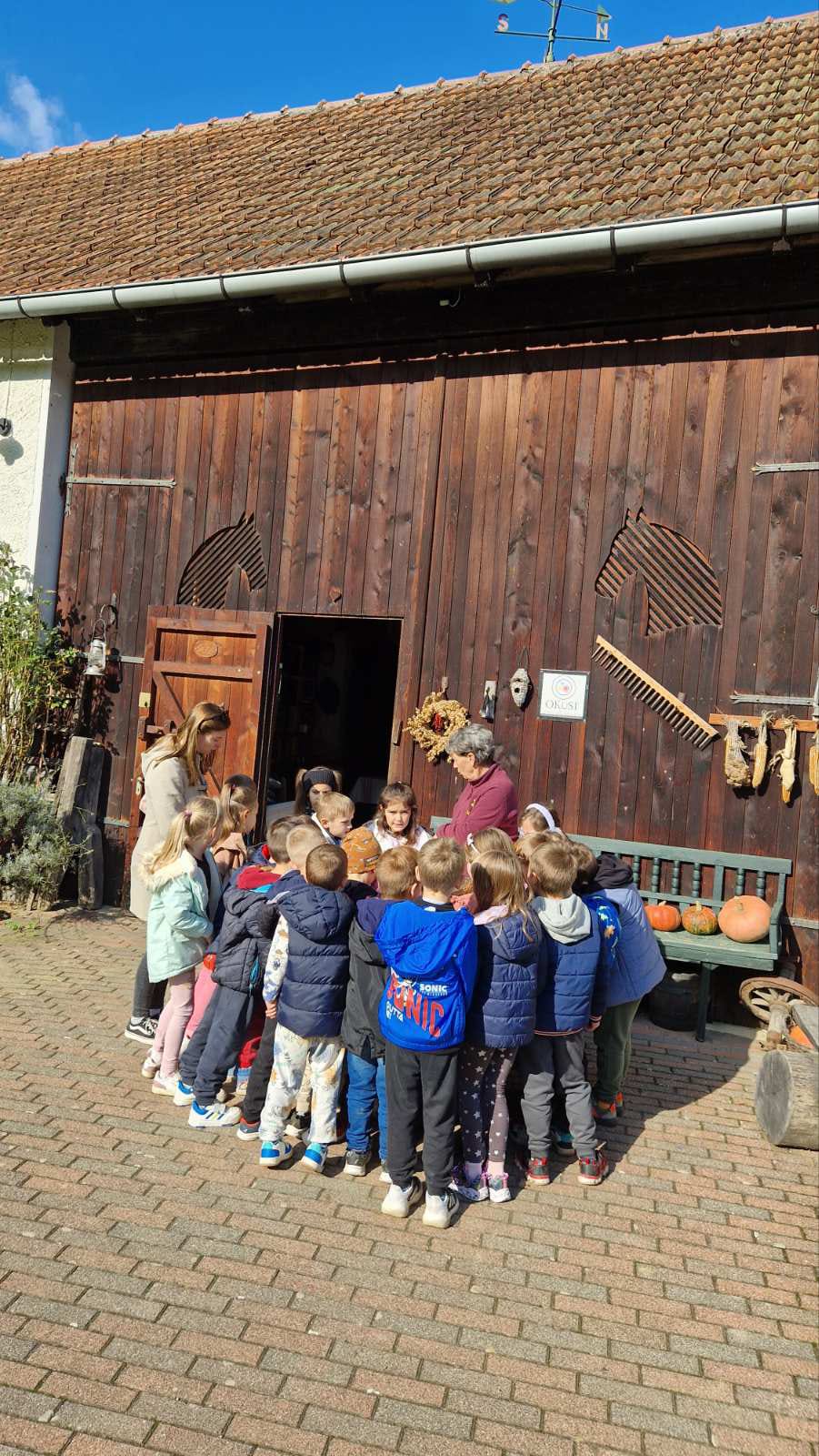 Whatsapp image 2025 10 17 at 07.52.47