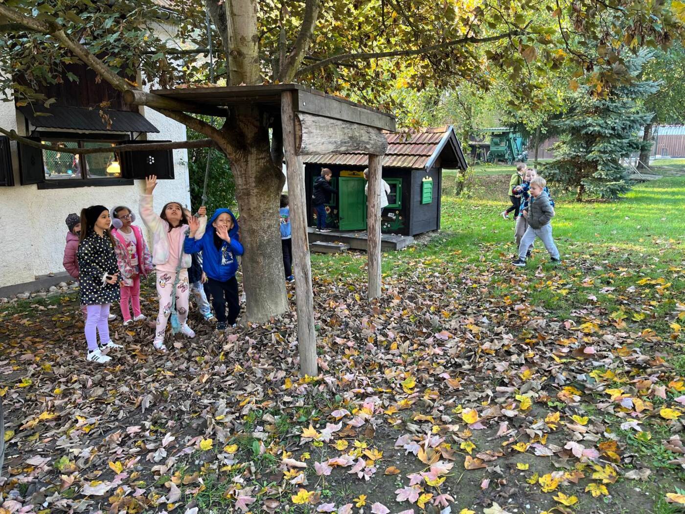 Whatsapp image 2025 10 17 at 10.30.30