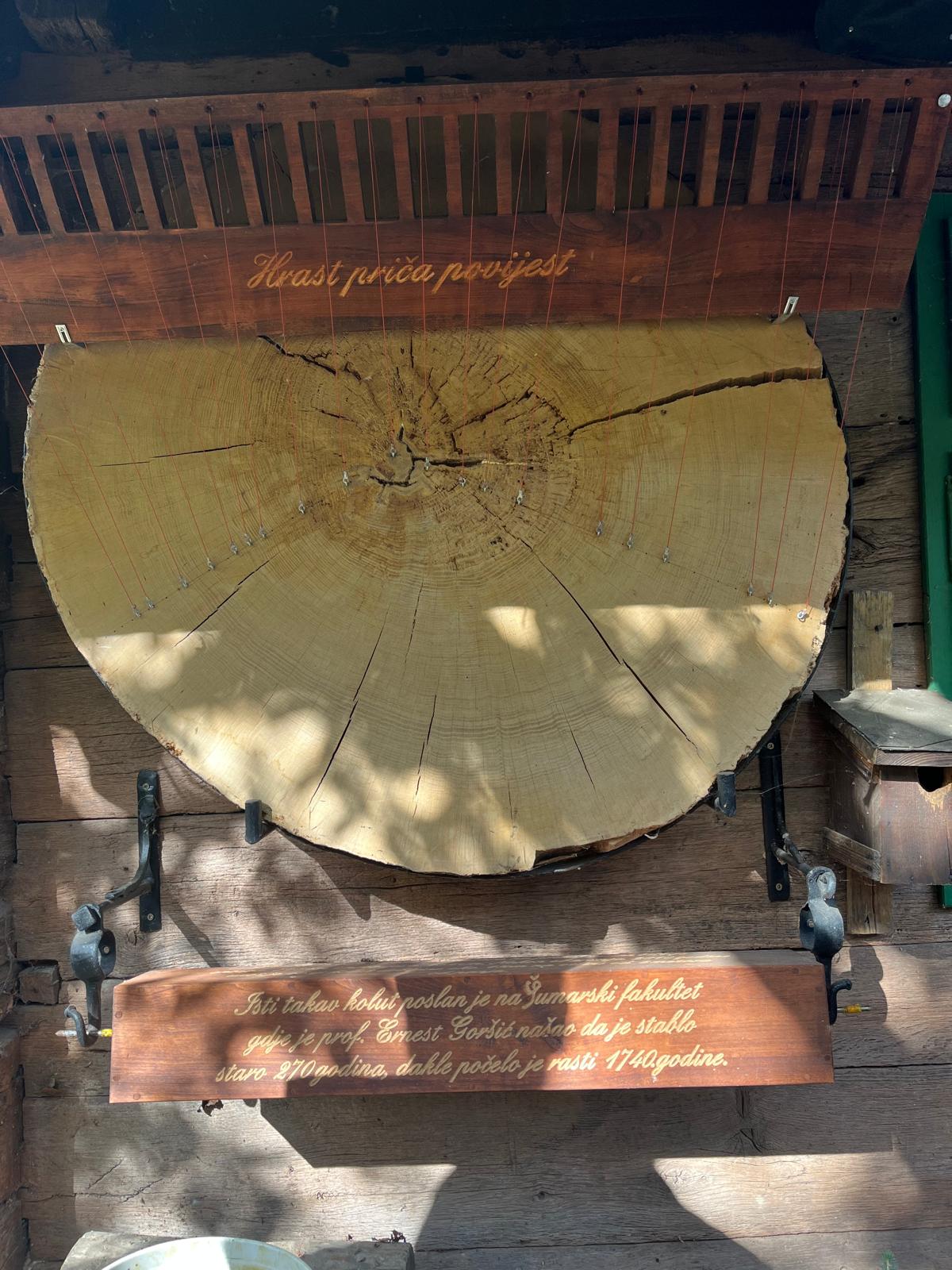 Whatsapp image 2025 10 17 at 10.30.30(9)